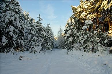  《TRIBE NINE：战极死游》2月20日发售 3D动作RPG