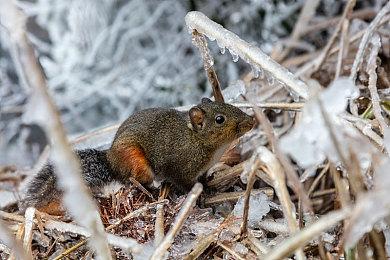 《杀出重围》主角扮演者曾被厂商要求少说两句