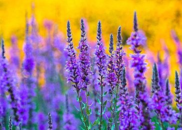 RTX 5080笔记本版3DMark跑分曝光 提升有限